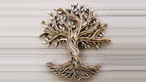CO2 CNC engraver