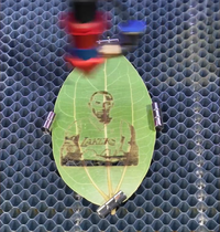 Laser Engraving Leaves: A Nature-Inspired Craft Guide