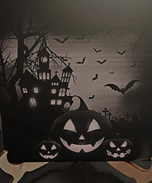 Omtech lasercutter