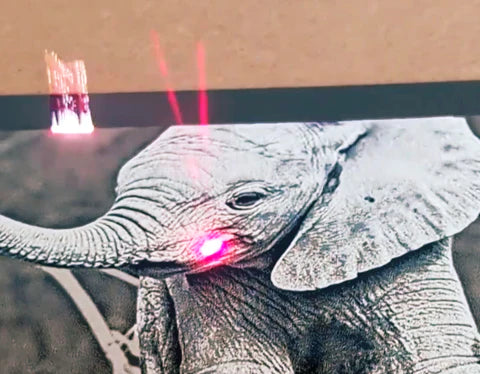 Elephant Fiber Marker