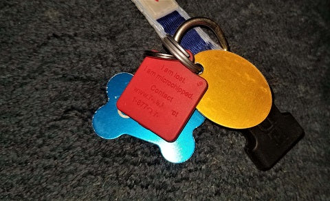 dog tags dog collar with identification tags